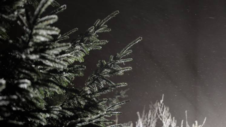 Jetzt schlägt der Winter eiskalt zu. Die Großwetterlage stellte sich seit den Dienstagnachmittag grundlegend um. Mit einer nordwestlichen Strömung werden feucht-kalte Luftmassen nach Deutschland geführt. Dies führt zu Schneefällen in den Mittelgebirgen. Oberhalb von 600 Höhenmetern herrschte seit den Abendstunden Dauerfrost. Eisregen, Schnee und Blitzeis gab es auf dem Fichtelberg. Der Regen gefror bei -2 ¡C. Da wurde der Abendspaziergang über dem Fichtelberg zur Rutschpartie. Ein dicker Eispanzer legte sich über den Fahrzeugen. Ein Autofahrer musste mühevoll kratzen. Nur Mithilfe der Fahrzeugwärme taute sein Fahrzeug so langsam auf. Neben Eisregen gab es einen böigen Nordwind. Verwehungen gab es auf dem Plateau. Touristen waren am Abend di