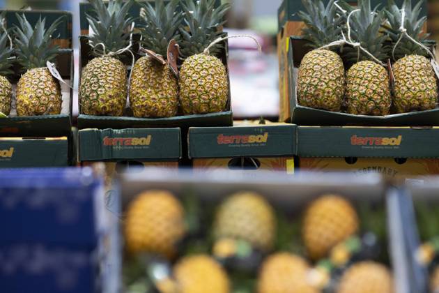 Rungis International Market - Southern Paris This photograph shows pineapple at the fruits and vegetables of the Rungis International Market, in Rungis southern suburb of Paris on December 6, 2023. The Rungis International Market (Marche International de Rungis) is the principal market of Paris, mainly for food and horticultural products, located in the commune of Rungis, in the southern suburbs. It is the second largest wholesale food market in the world after Central de Abasto, located in Mexico city. From its origins in the 10th century to the mid-20th century, the central market of Paris was located in the centre of the city, in a 10-hectare area named Les Halles. That became too small to accommodate all of the business demand, and, in Copyright: xBlondetxEliot ABACAx