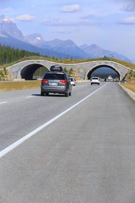 Wildlife bridge crossing over the Trans-Canada Highway, Banff National Park, Alberta, Canada Copyright: x xAllxCanadaxPhotosx 1990-11061503