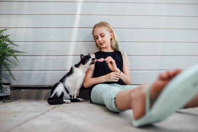 IMAGO Creative, Jahreszeit Sommer, Hitze Wide shot of preteen girl holding popsicle for cat to lick. Bismarck, North Dakota, United States CR_KIFR240228-1358214-01 ,model released, Symbolfoto