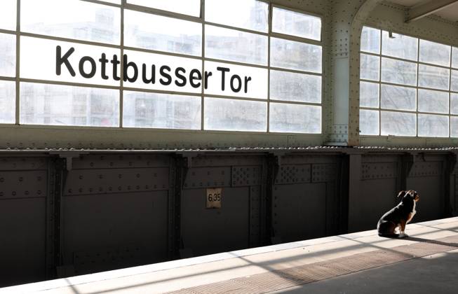 08.03.2024, Berlin - Deutschland. Ein Hund wartet am U-Bahnhof Kottbusser Tor. Worauf, ist unklar.