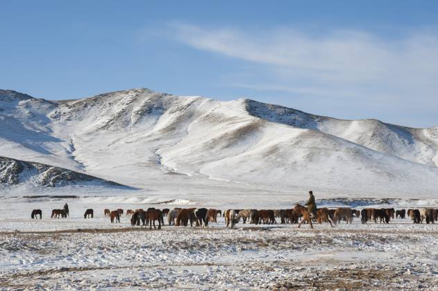 Herders relocating a herd of horses to a winter pasture near Ulaanbaatar, Mongolia. Herders relocating a herd of horses to a winter pasture near Ulaanbaatar, Mongolia., Credit:Wolfgang Kaehler Avalon 0534925777