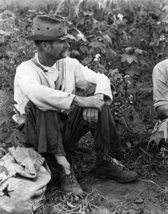SHARECROPPER, c1935. Bud Fields sitting in his cotton patch in Hale County, Alabama. Photograph by Walker Evans in c1935-36.  Copyright: xGRANGERx xGRANGERx 0120331