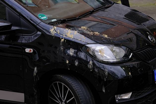 Düsseldorf 02.04.2024 Taubendreck Vogeldreck Taubenkot Vogelkot Vogelkacke Taubenkacke Baumparker Parken unter Baum Autolack Lack KFZ Auto PKW Autowäsche Waschanlage Reinigung Lackschaden Autoversicherung KFZ-Versicherung Kaskoversicherung Vollkasko Teilkasko Lackschaden Düsseldorf Nordrhein-Westfalen Deutschland