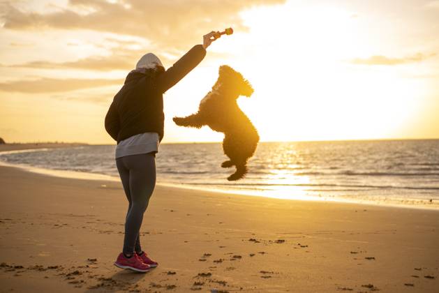 MR_ID20265_16720_AnaLopezBernal.jpg Woman playing with a joyful dog on a sandy beach during a golden sunset Model Released FranAlfonseca_ID20265_599278_003 Copyright: xFranxAlfonsecax