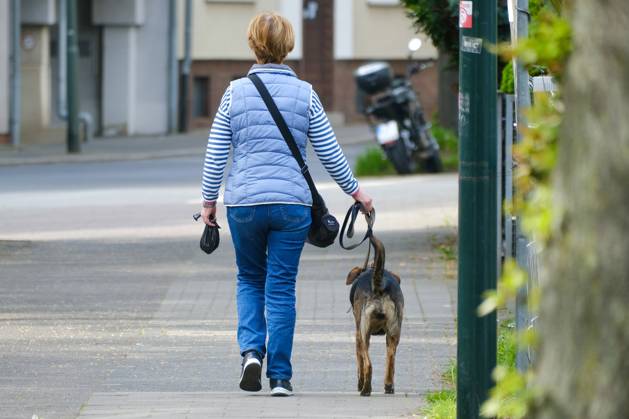 Düsseldorf 13.04.2024 Hund Hunde Gassi gehen gassigehen Spaziergänger spazieren Spaziergang Hundekot Hundekotbeutel Kotbeutel Hundescheisse Hundehaufen Düsseldorf Nordrhein-Westfalen Deutschland