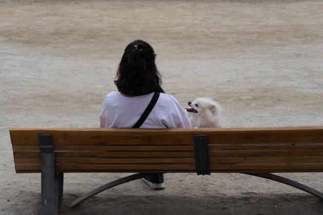 April 21, 2024, Santiago, Metropolitana, Chile: A woman spends the afternoon in a park with her dog in Santiago, Chile. Santiago Chile - ZUMAb332 20240421_zip_b332_002 Copyright: xMatiasxBasualdox