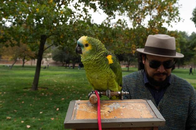 April 21, 2024, Santiago, Metropolitana, Chile: A man with his parrot sells toys in a park in Santiago, Chile. Santiago Chile - ZUMAb332 20240421_zip_b332_014 Copyright: xMatiasxBasualdox