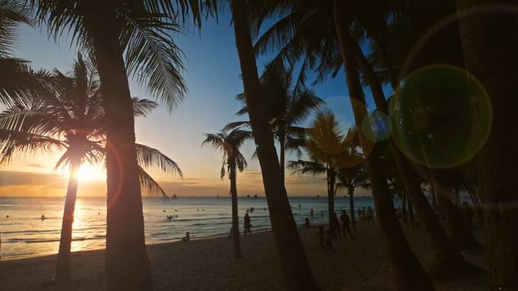 Sunset on beach with people and palms Silhouetted people and palms near sea. Sunset at tropical White beach, Boracay island, Philippines Copyright: xZoonar.com MikhailxKokhanchikovx 21448105