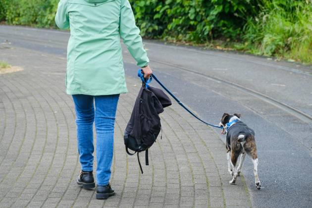 Düsseldorf 22.05.2024 Hund Hunde Gassi gehen gassigehen Spaziergänger spazieren Spaziergang Hundekot Hundekotbeutel Kotbeutel Hundescheisse Hundehaufen Düsseldorf Nordrhein-Westfalen Deutschland