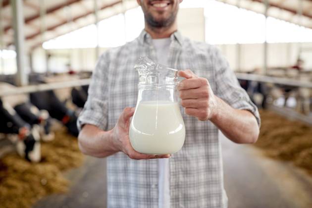 agriculture industry, farming, people and animal husbandry concept - happy smiling young man or farmer with cows milk in jug at cowshed on dairy farm ,model released, Symbolfoto; Landwirtschaft industry, farming, Personen und Tier husbandry Konzept glücklich lächelnd Jung Mann Oder Landwirt mit Kühe Milch in Kanne im Kuhstall am Molkerei Hof ,model released, Symbolfoto ING_33594_206519