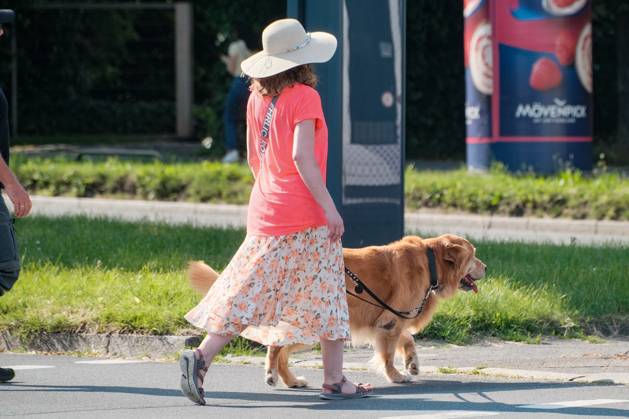 Düsseldorf 24.06.2024 Hund Hunde Gassi gehen gassigehen Spaziergänger spazieren Spaziergang Hundekot Hundekotbeutel Kotbeutel Hundescheisse Hundehaufen Sonnenhut Strohhut Basthut Rattanhut Modistin Hutschleife Hutkrempe Damenhut Frühlingsfarben Sommerfarben Sonnenschutz Sonnenbrand Sonnenstich Düsseldorf Nordrhein-Westfalen Deutschland