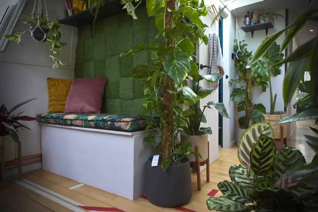 Love plants? Stay in London’s first live-in terrarium boat this summer Story from Jam Press (Terrarium Boat) Pictured: Inside The Floating Terrarium. Love plants? Stay in London’s first live-in terrarium boat this summer Are you a plant lover? A water babe? Well, now you can take both to the next level with a stay on a ‘terrarium boat . Moored on a canal in Hackney, London, this life-size ecosystem is made for those who want to get close to nature. The 48.3 sq m boat is decked out with 150 verdant houseplants - making it a perfect live-in oasis. Terrariums are more commonly known to be small, sometimes big, glass enclosures filled with plants, stones and mosses. But this one is a floating, green sanctuary. The two-guest proper  Copyright: xJamxPress @thefloatingterrarium