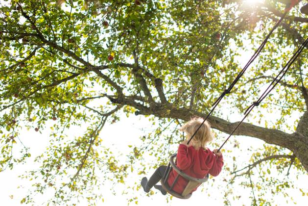 IMAGO Creative, Sommer, Sommertage im Garten Child swinging under a tree with sunlight filtering through the leaves Wingham, Ontario, Canada CR_ATBL240617-1455679-01 ,model released, Symbolfoto