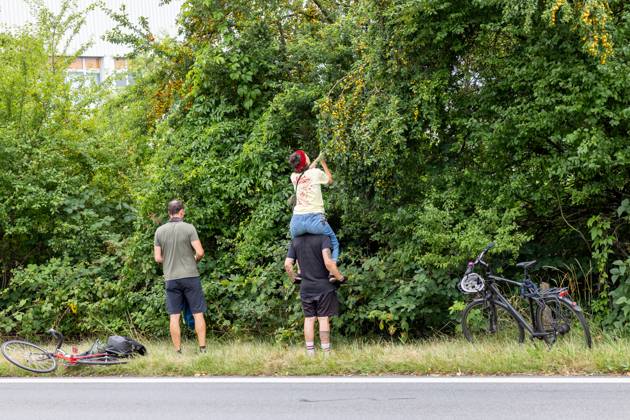Großdemo Noris Biking Großdemo für ein lebenswertes Nürnberg, organisiert vom Bündnis Noris Biking. Der Frankenschnellweg wurde für Radler, Fußgänger, Rollerfahrer und Stelzenläufer gesperrt. Hunderte Teilnehmer genossen die autofreie Strecke. Nürnberg Bayern Deutschland