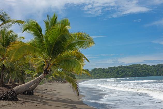 schöner Sandstrand am Pazifik in Samara in Costa Rica schöner Sandstrand am Pazifik in Samara in Costa Rica Copyright: xZoonar.com AlexanderxLiessx 21821701