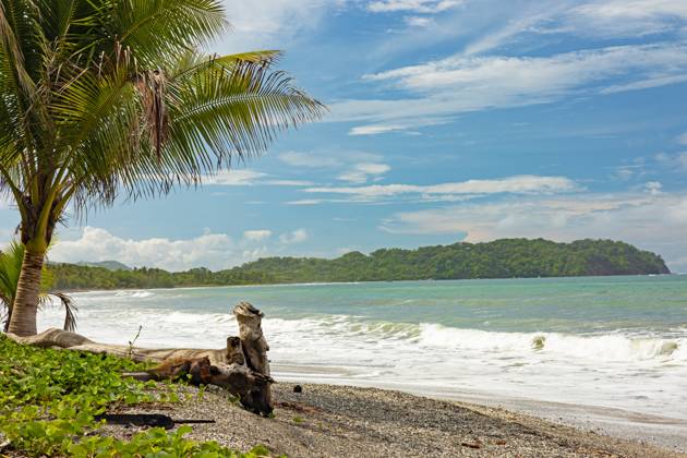 schöner Sandstrand am Pazifik in Samara in Costa Rica schöner Sandstrand am Pazifik in Samara in Costa Rica Copyright: xZoonar.com AlexanderxLiessx 21823670