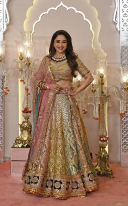 Wedding red carpet of Anant Ambani & Radhika Merchant in Mumbai, India - 12 Jul 2024 Bollywood actress Madhuri Dixit poses for a photo on the red carpet wedding ceremony of Anant Ambani and Radhika Merchant in Mumbai. Mumbai India Copyright: xAshishxVaishnavx xSOPAxImagesx AVaishnav_Wedding red carpet of Anant Ambani _ Radhika Merchant in Mumbai, India (24)