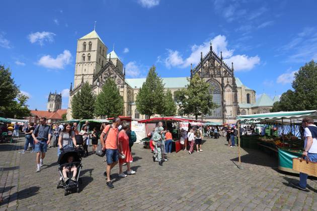 Wochenmarkt auf dem Domplatz. Münster, Nordrhein-Westfalen, DEU, Deutschland, 10.08.2024