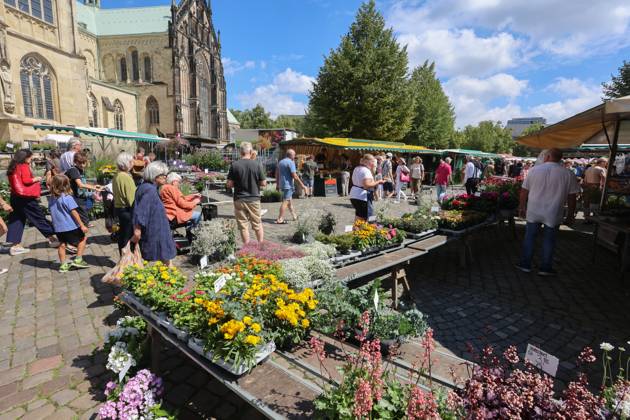 Wochenmarkt auf dem Domplatz. Münster, Nordrhein-Westfalen, DEU, Deutschland, 10.08.2024