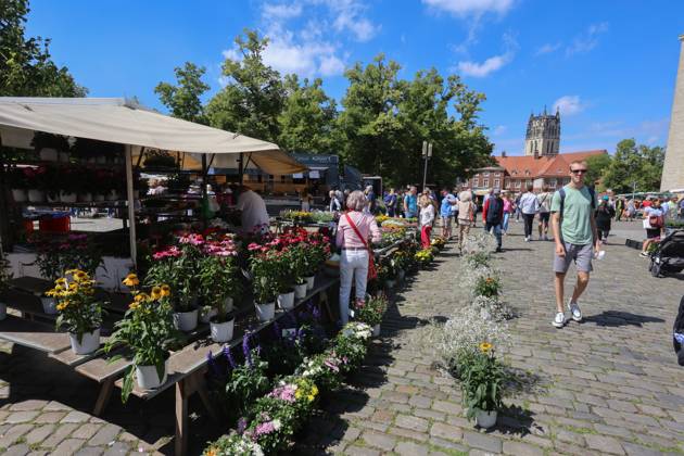 Wochenmarkt auf dem Domplatz. Münster, Nordrhein-Westfalen, DEU, Deutschland, 10.08.2024