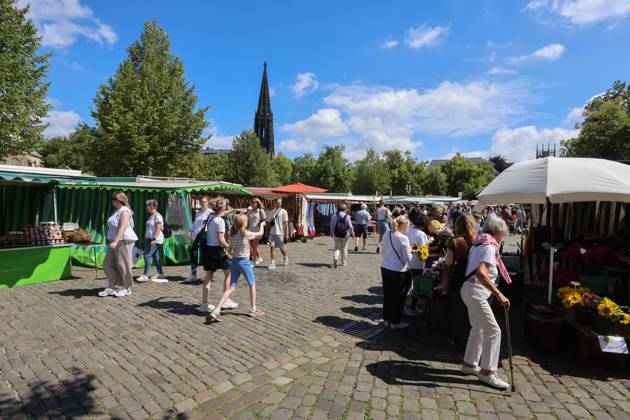 Wochenmarkt auf dem Domplatz. Münster, Nordrhein-Westfalen, DEU, Deutschland, 10.08.2024