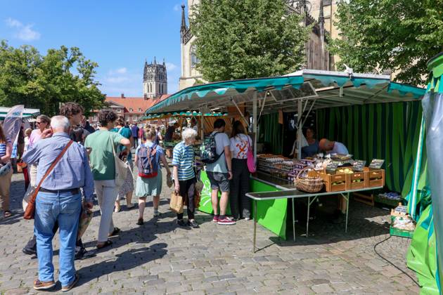 Wochenmarkt auf dem Domplatz. Münster, Nordrhein-Westfalen, DEU, Deutschland, 10.08.2024
