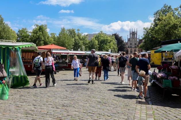 Wochenmarkt auf dem Domplatz. Münster, Nordrhein-Westfalen, DEU, Deutschland, 10.08.2024