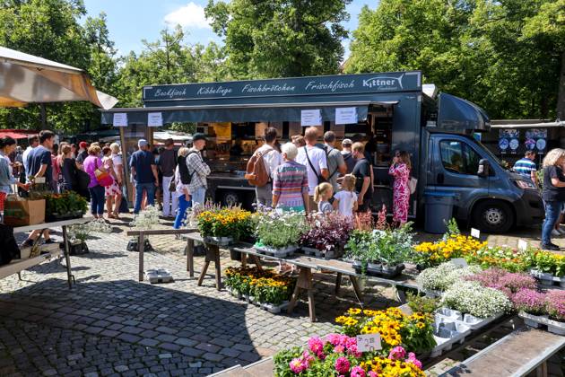 Wochenmarkt auf dem Domplatz. Münster, Nordrhein-Westfalen, DEU, Deutschland, 10.08.2024