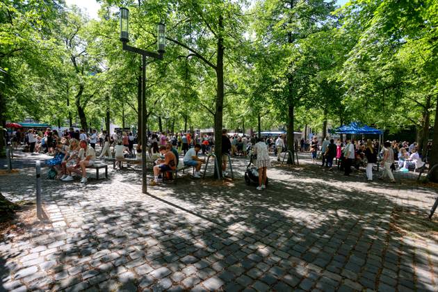 Wochenmarkt auf dem Domplatz. Münster, Nordrhein-Westfalen, DEU, Deutschland, 10.08.2024
