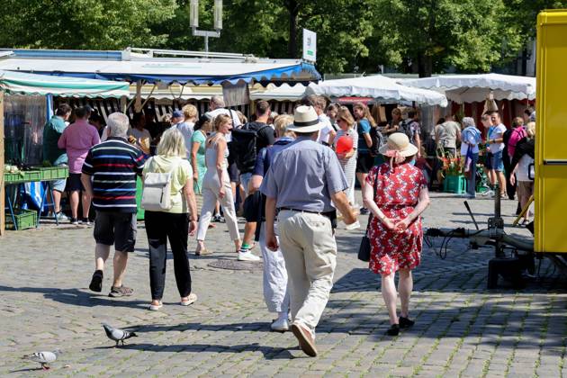Wochenmarkt auf dem Domplatz. Münster, Nordrhein-Westfalen, DEU, Deutschland, 10.08.2024