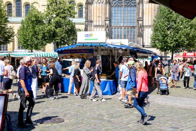 Wochenmarkt auf dem Domplatz. Münster, Nordrhein-Westfalen, DEU, Deutschland, 10.08.2024