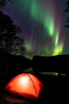 Nordlicht (Aurora borealis) spiegelt sich in einem See, Rago Nationalpark, Nordland, Norwegen, Biwak, Zelt, Beleuchtung, McPGUN McP_GUN_2025_000170