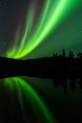 Nordlicht (Aurora borealis) spiegelt sich in einem See, Rago Nationalpark, Nordland, Norwegen, McPGUN McP_GUN_2025_000174
