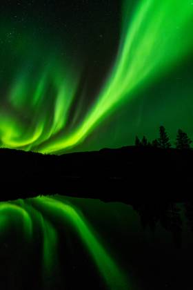 Nordlicht (Aurora borealis) spiegelt sich in einem See, Rago Nationalpark, Nordland, Norwegen, McPGUN McP_GUN_2025_000175