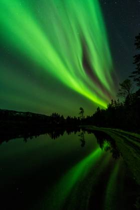 Nordlicht (Aurora borealis) spiegelt sich in einem See, Rago Nationalpark, Nordland, Norwegen, McPGUN McP_GUN_2025_000177