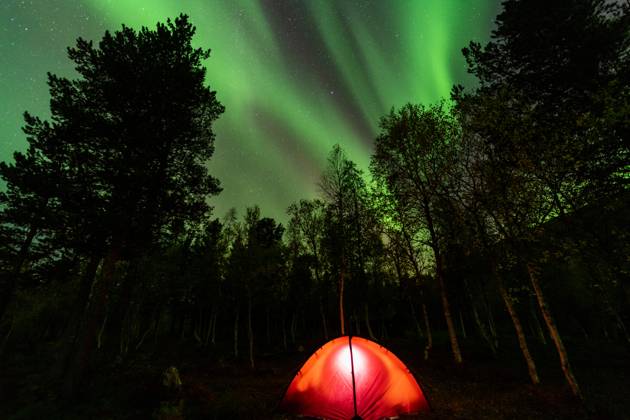Nordlicht (Aurora borealis) spiegelt sich in einem See, Rago Nationalpark, Nordland, Norwegen, Biwak, Zelt, Beleuchtung, McPGUN McP_GUN_2025_000180