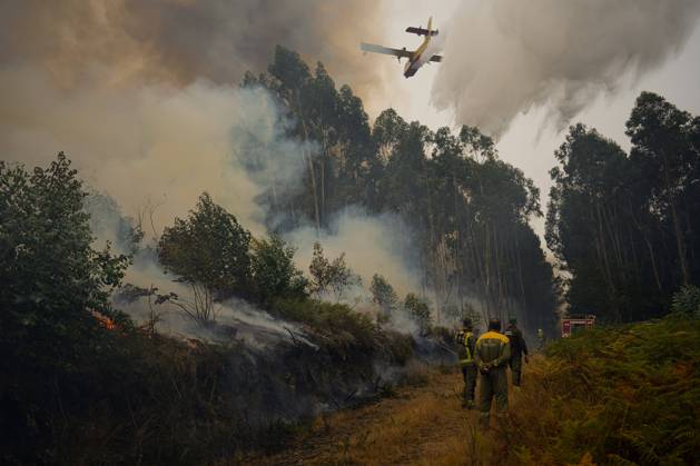 Bilder des Jahres 2024, News 09 September News Themen der Woche KW36 News Bilder des Tages The forest fire in Entrimo Ourense burns 180 hectares Agents of the Fire Brigade of Galicia work on the fire in the Natural Park of Baixa Lima Serra do Xurés, on September 5, 2024, in Entrimo, Ourense, Galicia Spain The forest fire in Entrimo Ourense , which entered Galicia during the afternoon of this Wednesday, September 4, from Portugal and affects the Natural Park of Baixa Lima Serra do Xurés, has already burned about 180 hectares, according to the last data facilitated by the Consellería do Medio Rural The fire originated about 20 30 hours of September 3 in Portugal and acquired a great virulence because of the wind The means of the Service of Prevention and Defense against the Forest Fires of the Xunta were collaborating with Portugu Copyright: xRosaxVeigax 6194079