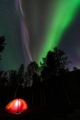 Nordlicht (Aurora borealis) spiegelt sich in einem See, Rago Nationalpark, Nordland, Norwegen, Biwak, Zelt, Beleuchtung, McPGUN McP_GUN_2025_000172