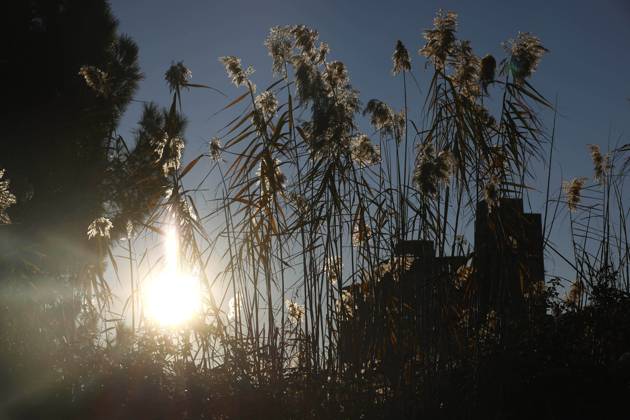 IMAGO Creative, Jahreszeit Sommer, Hitze Aigues-Mortes, Frankreich, 25.12 .2023 Sonnenuntergang in Aigues-Mortes