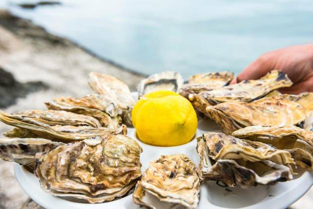  Male hand holding oysters, Male hand holding oysters on a plastic plate near the sea, Male hand holding oysters on a plastic plate near the sea, 20.08.2024, Copyright: xTopdeqx Panthermedia37731411.jpg