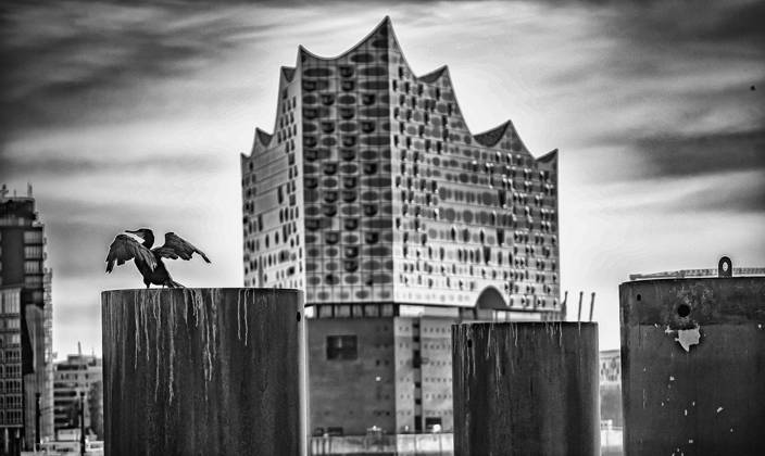 Hamburg; Skyline Panorama am Hafen, Bereich Landungsbrücken - 30.09.2024 Hamburg