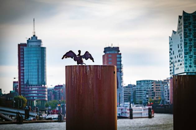 Hamburg; Skyline Panorama am Hafen, Bereich Landungsbrücken - 30.09.2024 Hamburg