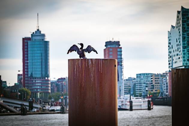 Hamburg; Skyline Panorama am Hafen, Bereich Landungsbrücken - 30.09.2024 Hamburg