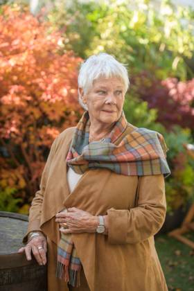 Judi Dench 4th October 2024. Dame Judi Dench at the Times and Sunday Times Cheltenham Literature Festival.  Copyright: xAdrianxSherrattx NINTCHDBPICT000938484724