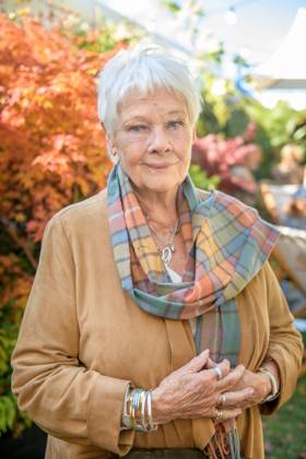 Judi Dench 4th October 2024. Dame Judi Dench at the Times and Sunday Times Cheltenham Literature Festival.  Copyright: xAdrianxSherrattx NINTCHDBPICT000938484978