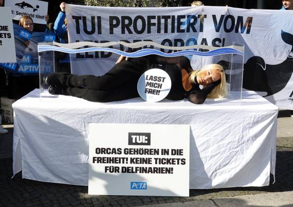 Entertainment Bilder des Tages Sarah Connor legt sich in ein Mini-Aquarium und protestiert mit Peta-Aktivisten vor dem Tui-Reisebüro für die Freilassung von Orca-Walen.