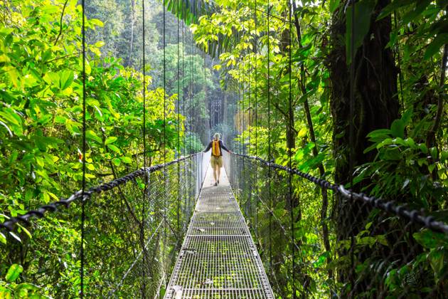 Hike in Costa Rica Hiking in green tropical jungle, Costa Rica, Central America ,model released, Symbolfoto Copyright: xZoonar.com GalynaxAndrushkox 11656989 ,model released, Symbolfoto ,property released