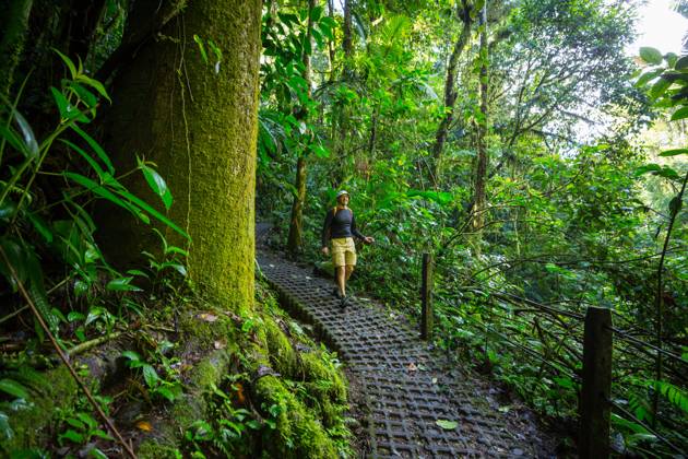 Hike in Costa Rica Hiking in green tropical jungle, Costa Rica, Central America ,model released, Symbolfoto Copyright: xZoonar.com GalynaxAndrushkox 11661350 ,model released, Symbolfoto ,property released