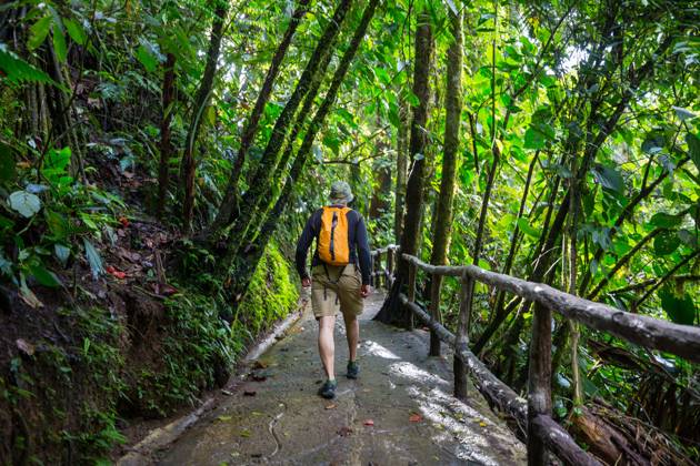 Hike in Costa Rica Hiking in green tropical jungle, Costa Rica, Central America ,model released, Symbolfoto Copyright: xZoonar.com GalynaxAndrushkox 11664759 ,model released, Symbolfoto ,property released